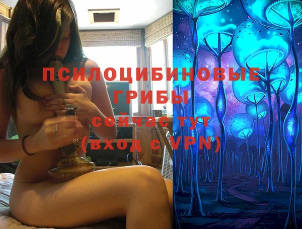 ПСИЛОЦИБИНОВЫЕ ГРИБЫ Остров